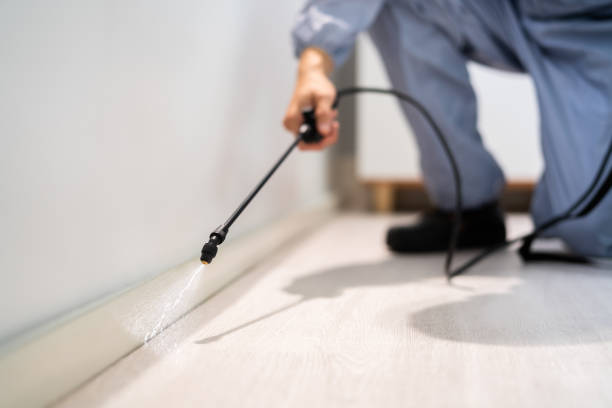 Bed Bug Pre-Treatment Preparation Assessment in Four Corners