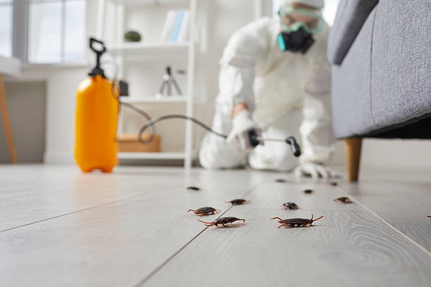 Post-Treatment Bed Bug Interceptor Monitoring in Four Corners