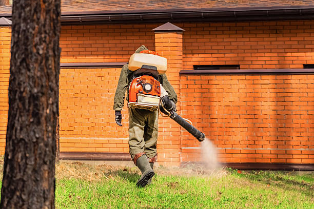 Bed Bug Clearance Verification and Documentation in Four Corners